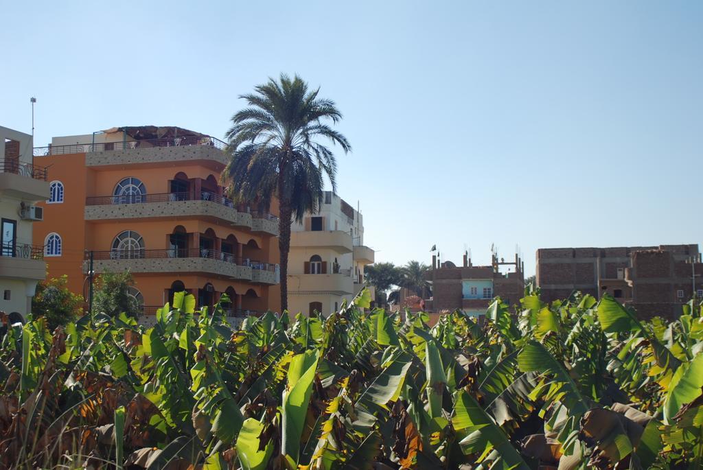 Al Gezera Apartments Luksor Oda fotoğraf